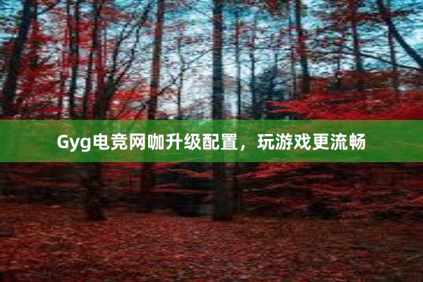 Gyg电竞网咖升级配置，玩游戏更流畅