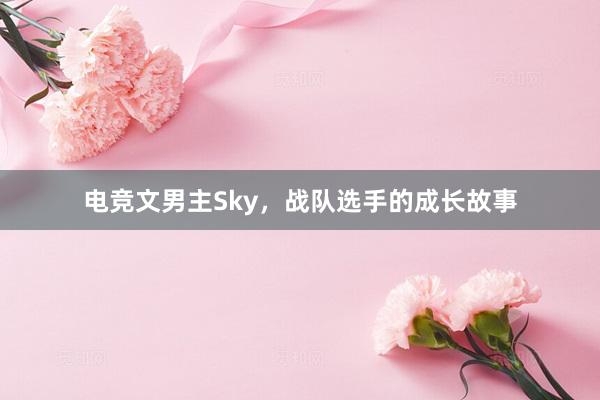 电竞文男主Sky，战队选手的成长故事